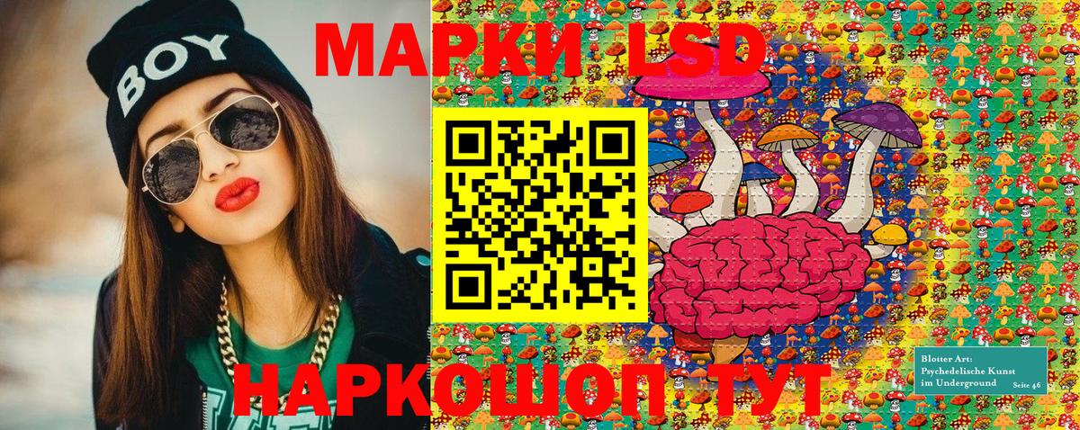 Кинель  Марки N-bome 1,5мг  Марки N-bome  Вход с VPN 