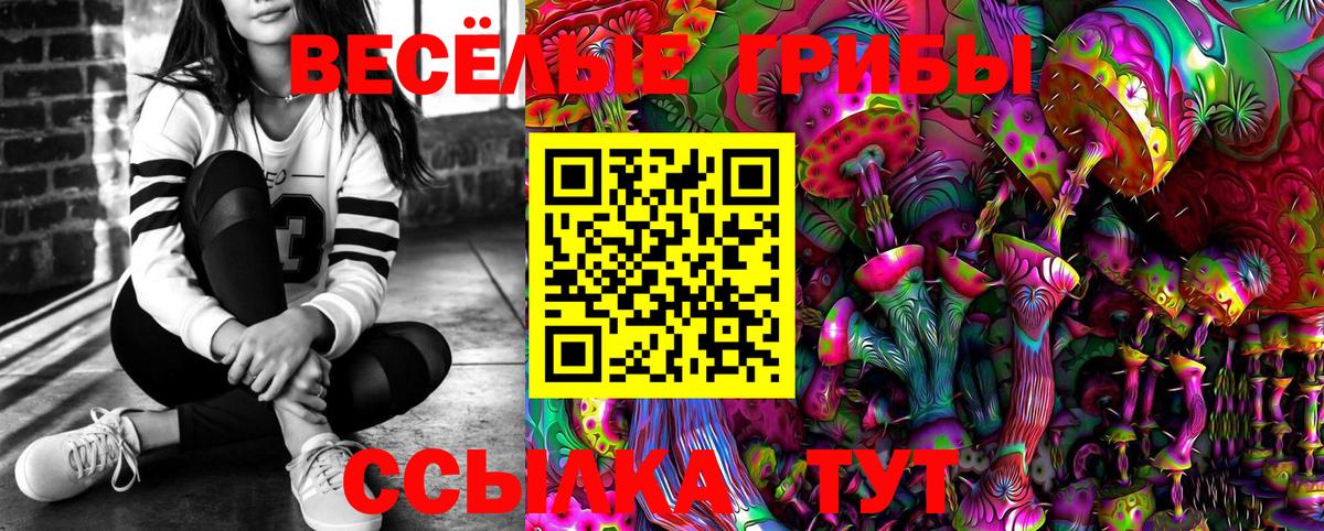 Псилоцибиновые грибы прущие грибы Кинель