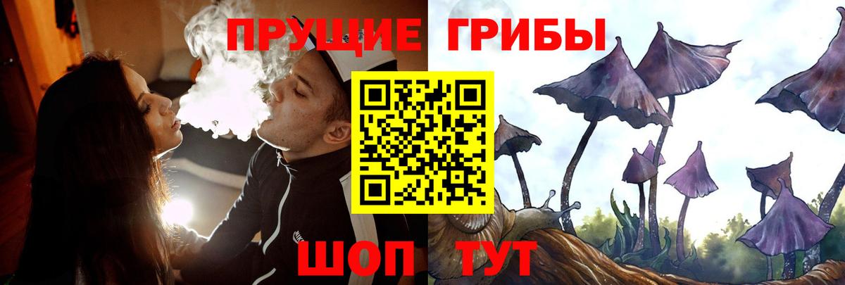 Псилоцибиновые грибы GOLDEN TEACHER  Галлюциногенные грибы Cubensis  закладки  Кинель  Вход с VPN 